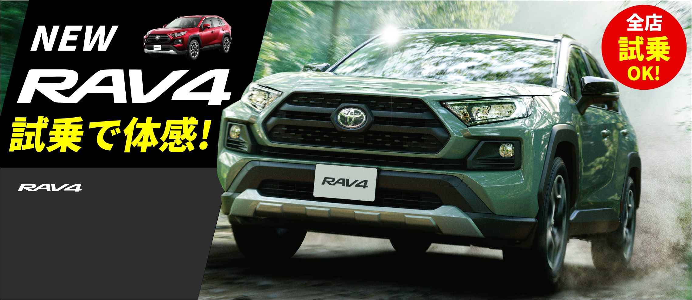 RAV4 (PC)