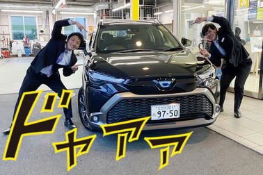 スタッフ