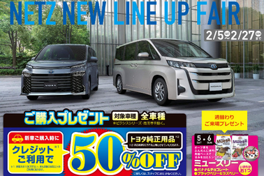 NETZ LINE UP FAIR