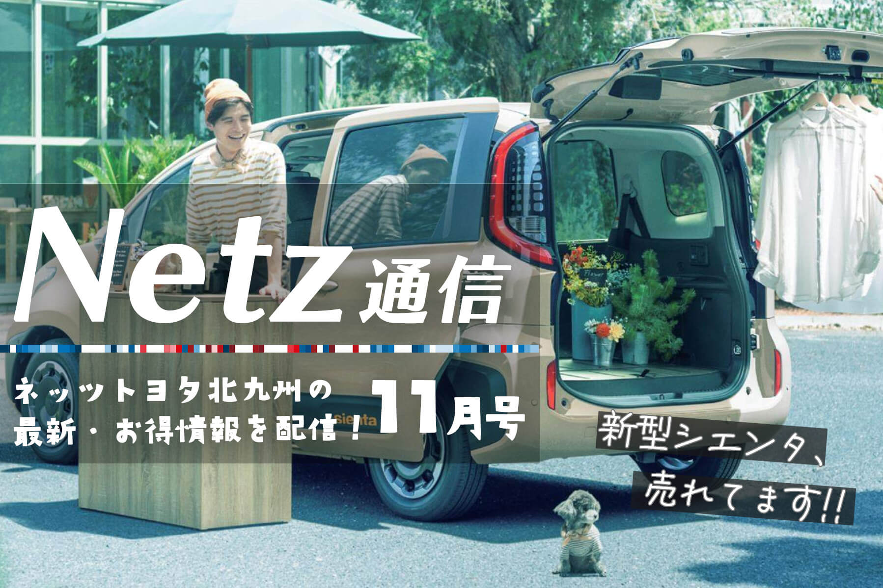 netz通信11月号