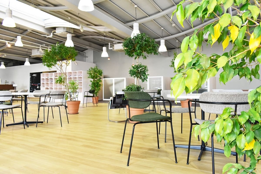 Giant ジャンク　千葉県佐倉市 シャント宗像店（宗像市稲元） | ネッツトヨタ北九州