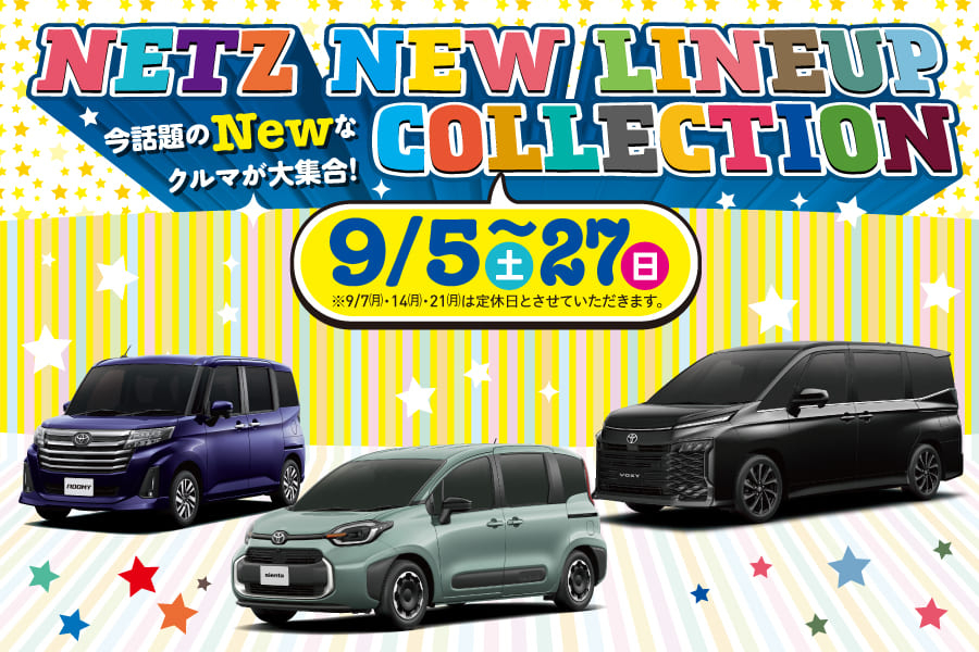 NEW NETZ LINEUP COLLECTION