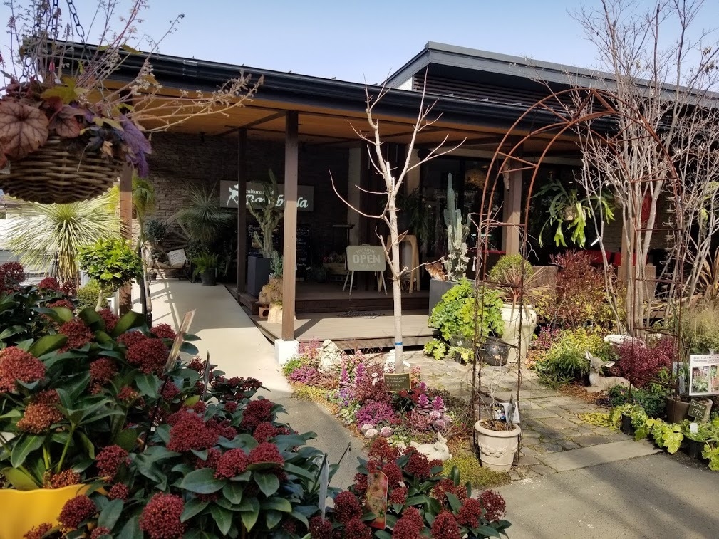 植物園の中のカフェ 植物園の中のカフェ